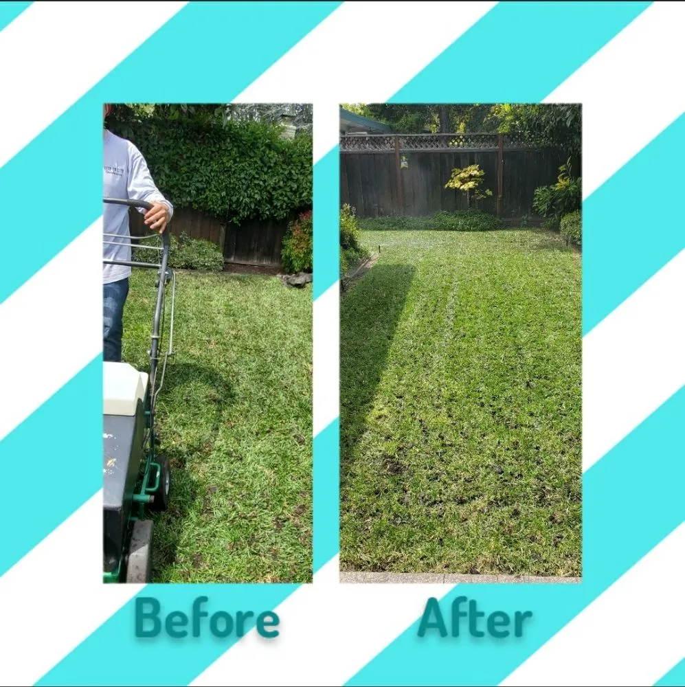 Trusted yard cleanup service in San Mateo, CA by City To City Gardening