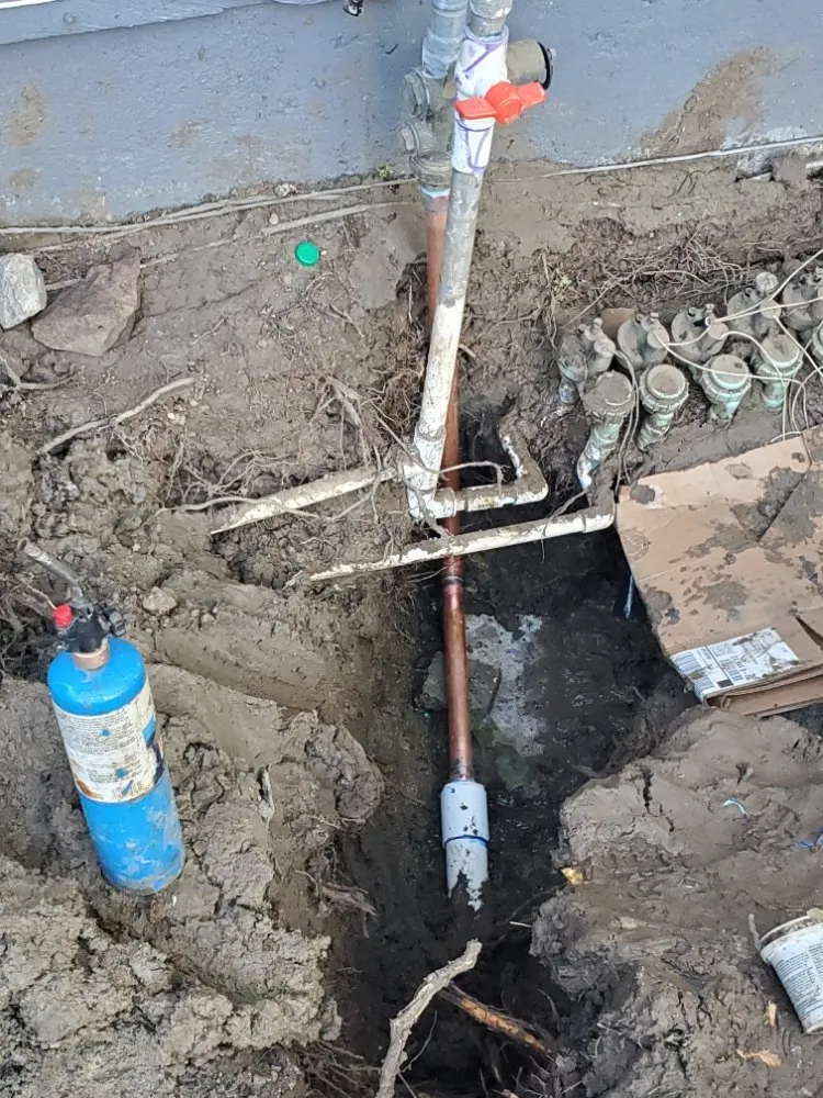 Local residential landscaping for beautiful yards in San Mateo, CA by City To City Gardening