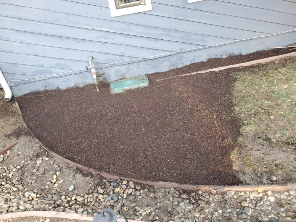 Trusted lawn mowing service in San Mateo, CA - City To City Gardening