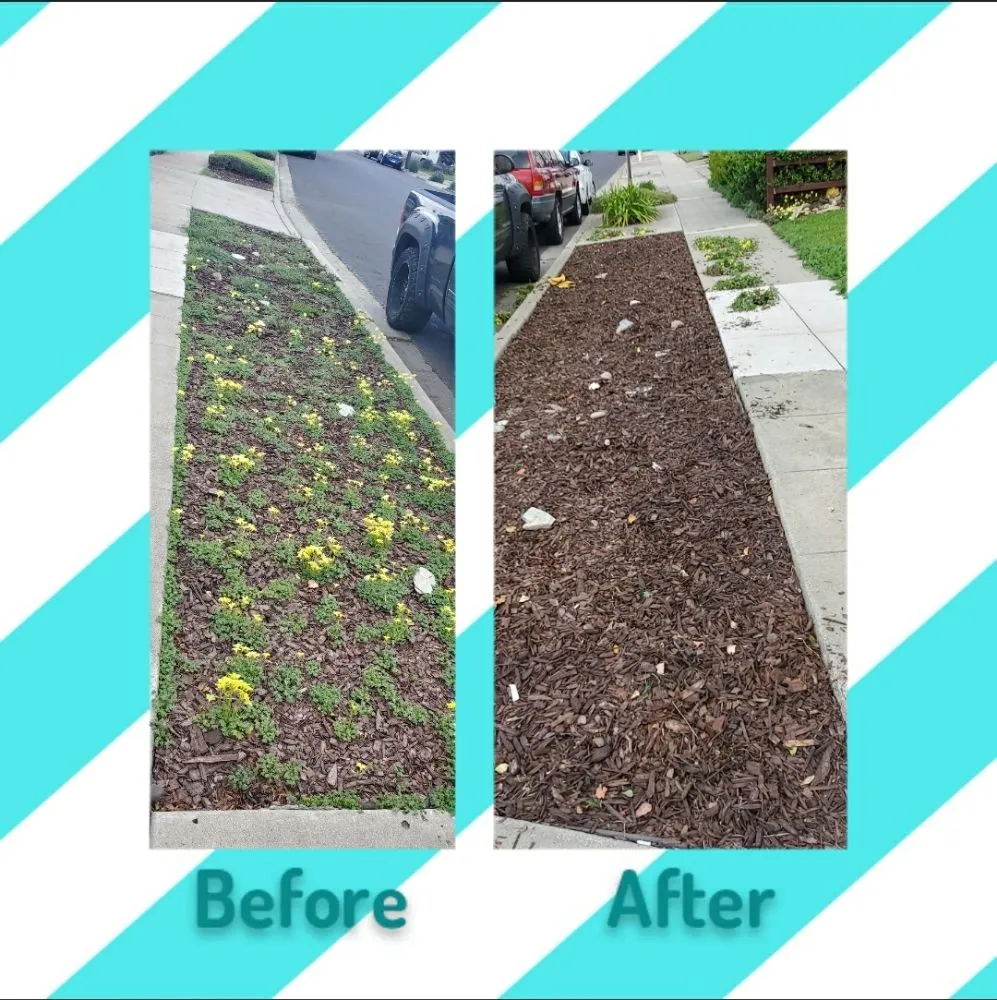 Affordable residential landscaping in San Mateo, CA - City To City Gardening