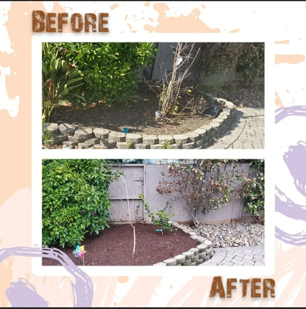 Reliable residential landscaping in San Mateo, CA by City To City Gardening