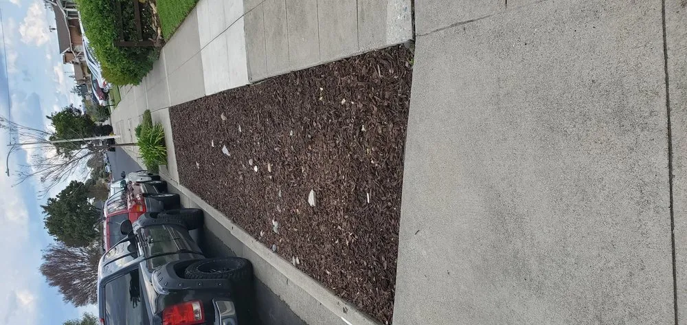 Top-rated yard maintenance experts serving San Mateo, CA - City To City Gardening