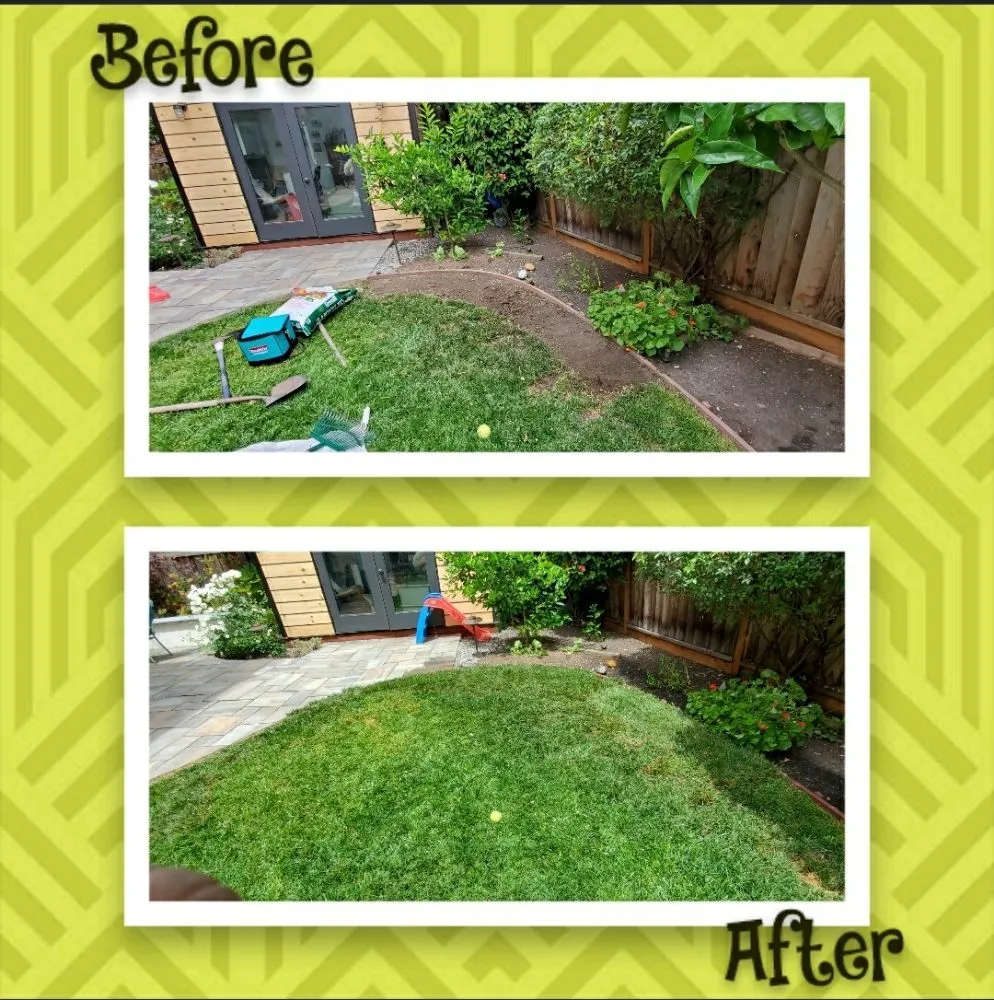 Affordable landscaping services in San Mateo, CA by City To City Gardening