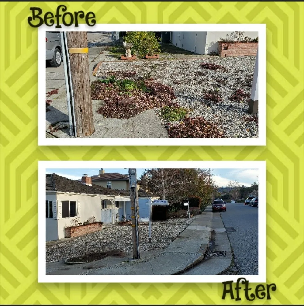 Trusted outdoor landscaping in San Mateo, CA - City To City Gardening