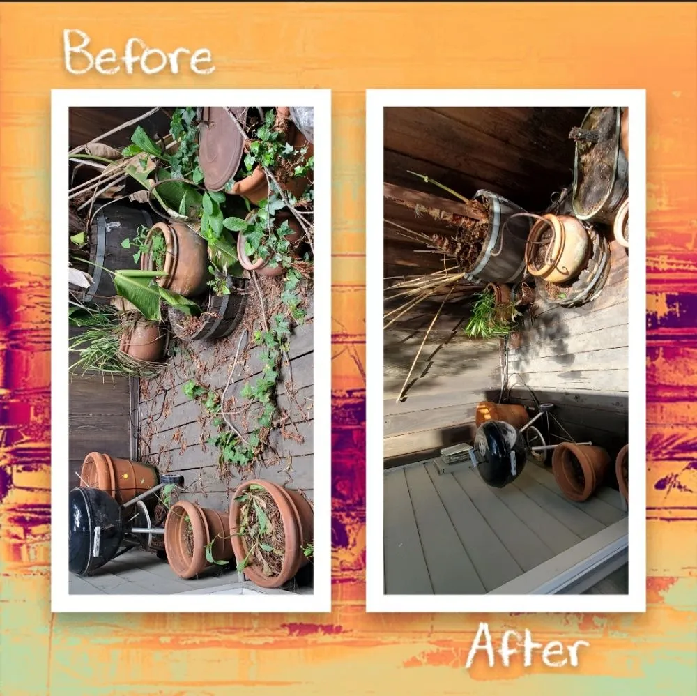 Trusted garden landscaping in San Mateo, CA - City To City Gardening