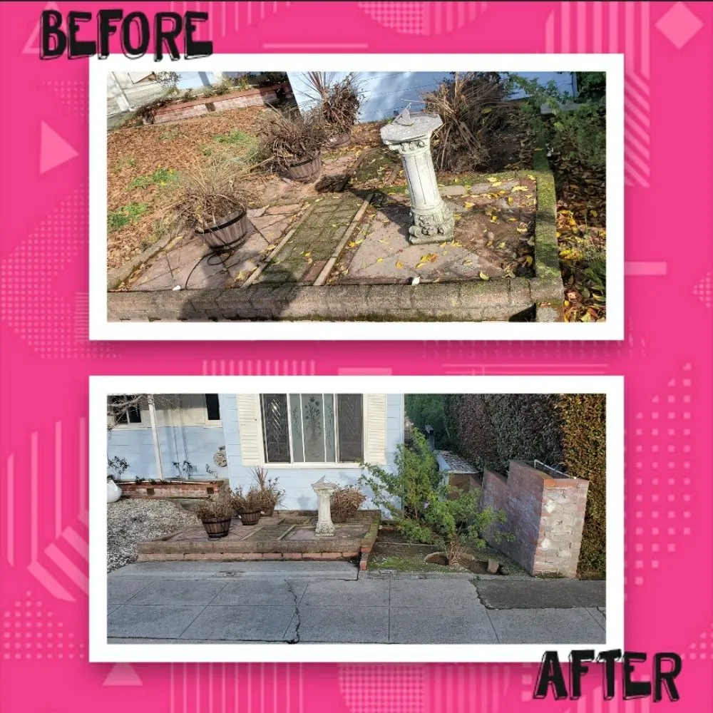 Reliable lawn care service in San Mateo, CA - City To City Gardening