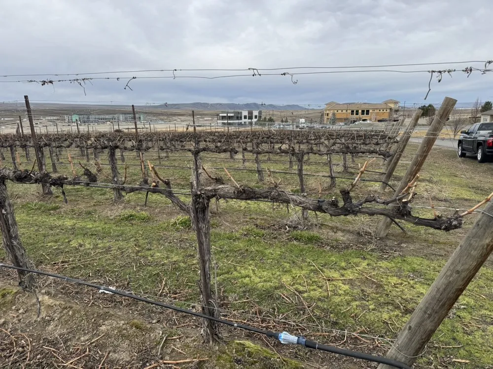 Professional yard maintenance in Pasco, WA by City Turf Empire