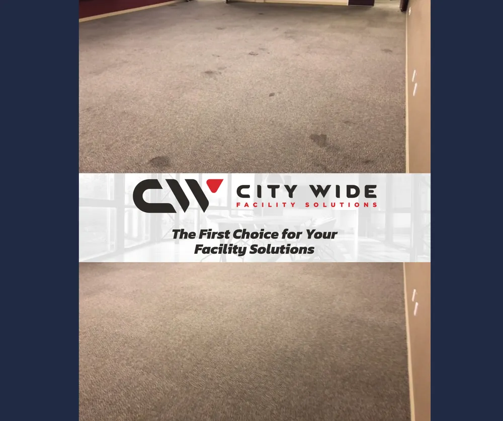 Local landscape design in Houston, TX by City wide facility solutions