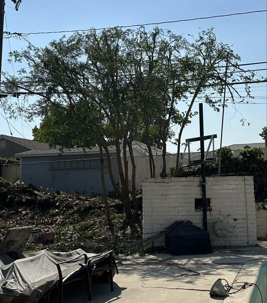 Affordable lawn care service for homes across Fullerton, CA - City Wide Landcare