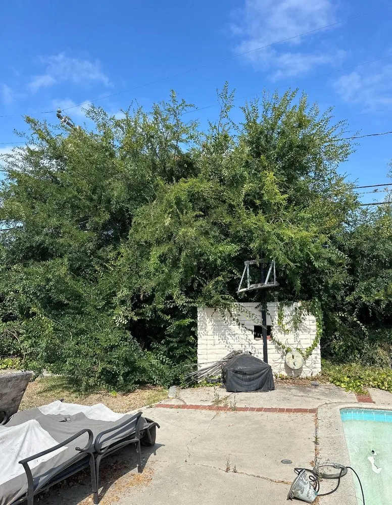 Expert landscaping services experts serving Fullerton, CA - City Wide Landcare