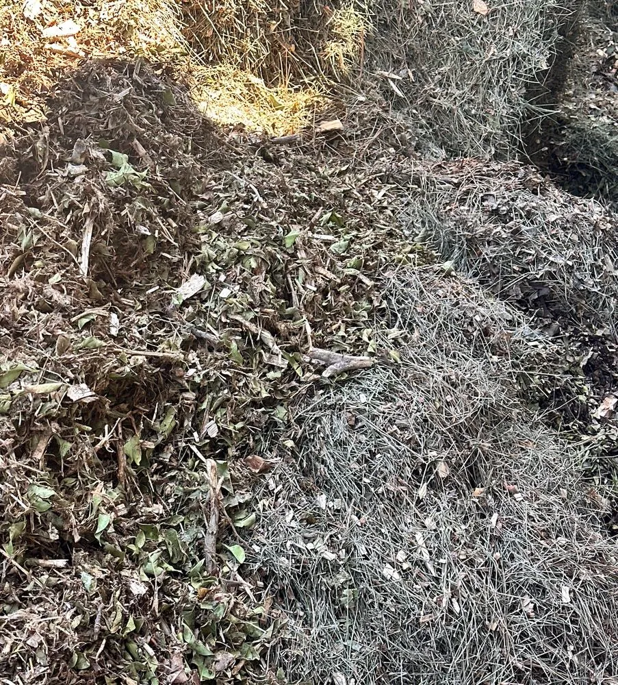 Custom landscaping services in Fullerton, CA - City Wide Landcare