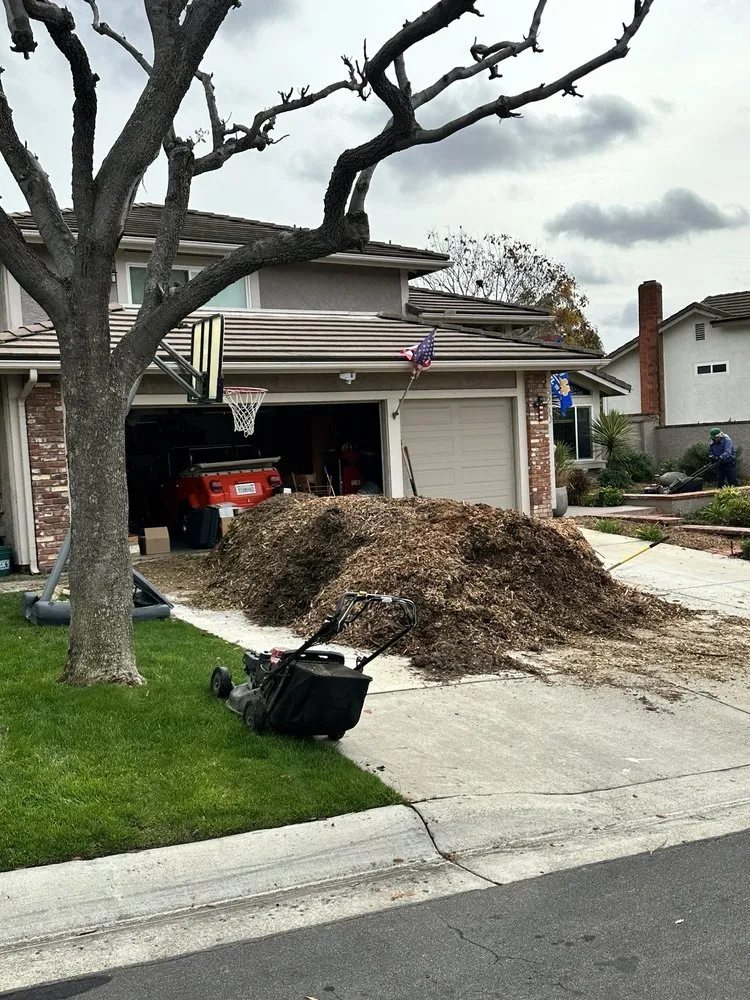 Expert landscape installation in Fullerton, CA by City Wide Landcare
