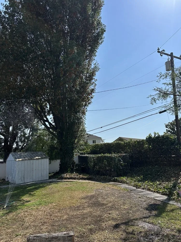 Affordable landscape installation for beautiful yards across Fullerton, CA - City Wide Landcare