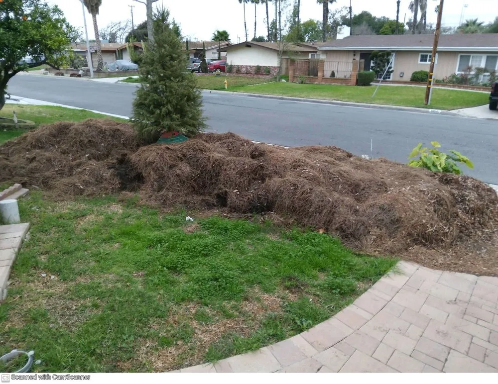 Trusted outdoor landscaping for beautiful yards across Fullerton, CA - City Wide Landcare