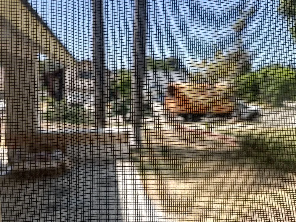 Trusted landscape installation experts serving Fullerton, CA - City Wide Landcare