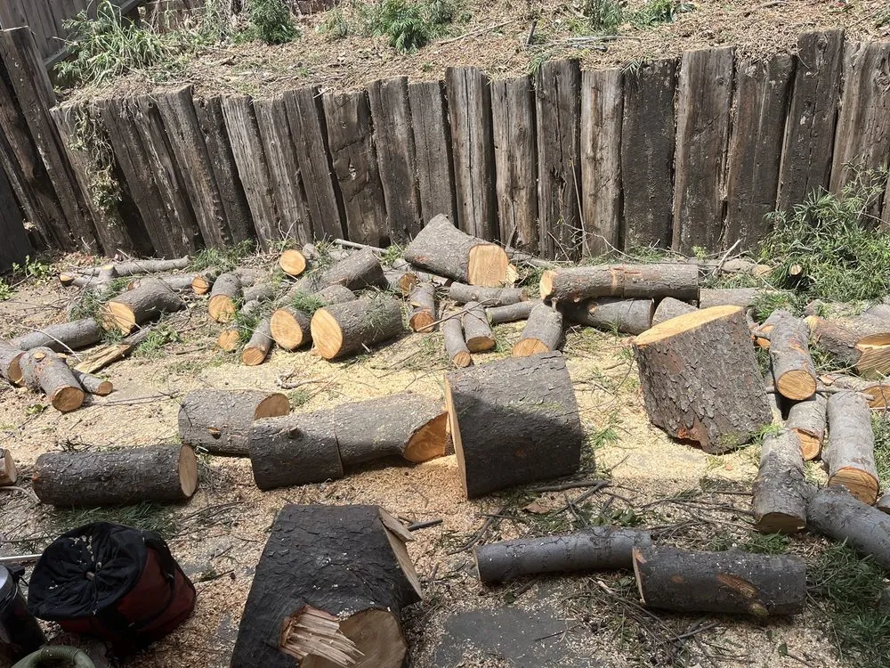 Expert yard cleanup service near you in Fullerton, CA by City Wide Landcare