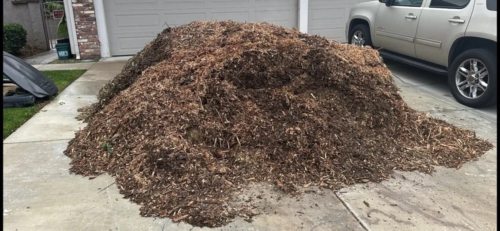 Custom garden landscaping for outdoor upgrades in Fullerton, CA by City Wide Landcare