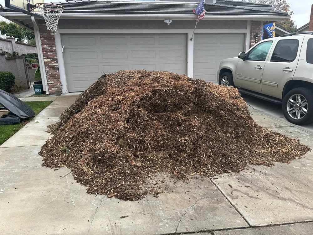 Affordable lawn mowing service for residential properties across Fullerton, CA - City Wide Landcare