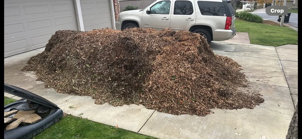 Expert lawn mowing service in Fullerton, CA by City Wide Landcare