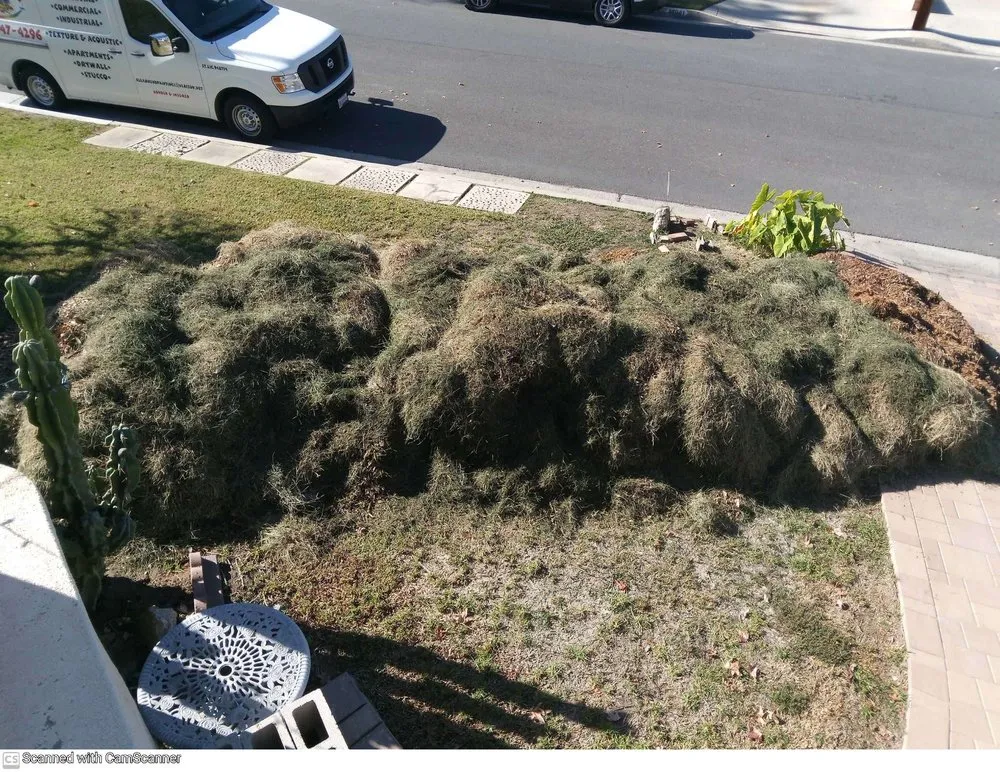 Trusted outdoor landscaping for outdoor upgrades in Fullerton, CA by City Wide Landcare