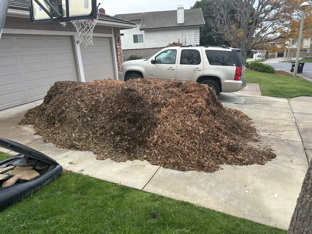 Local lawn care service in Fullerton, CA - City Wide Landcare