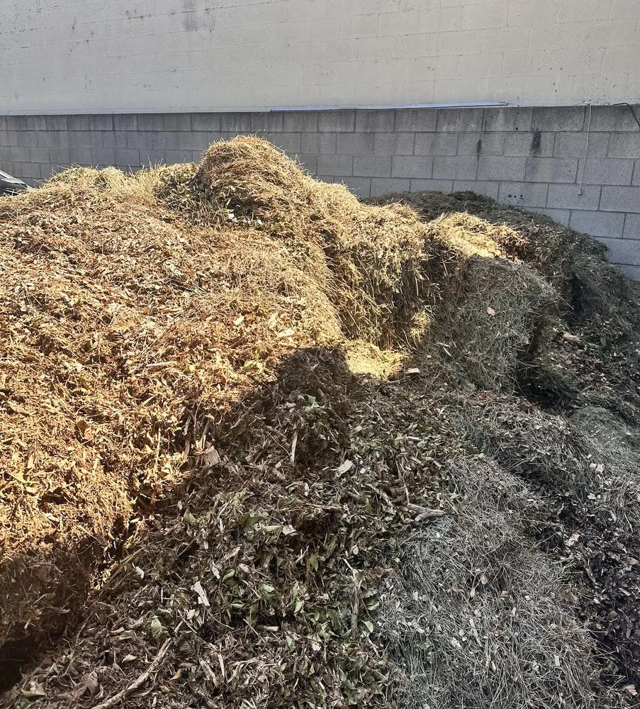 Top-rated landscape installation in Fullerton, CA - City Wide Landcare