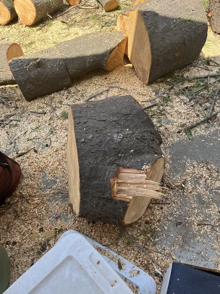 Custom lawn care service experts serving Fullerton, CA - City Wide Landcare