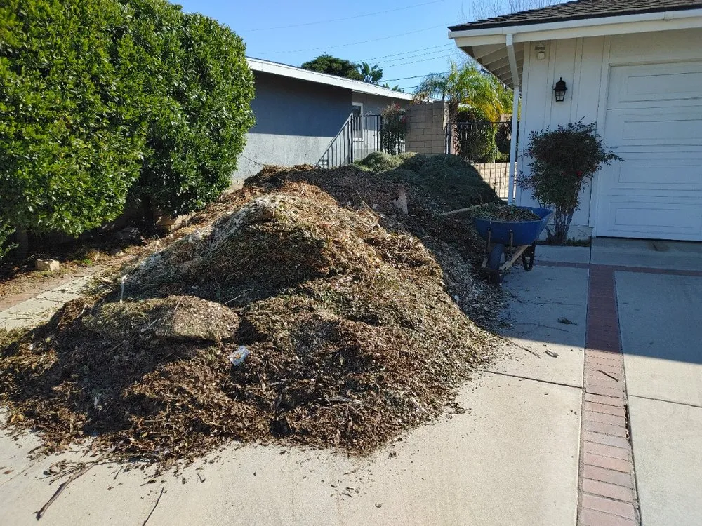 Top-rated yard maintenance near you across Fullerton, CA - City Wide Landcare