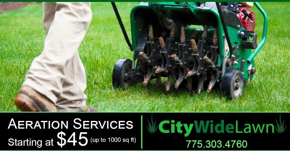 Expert outdoor landscaping in Sparks, NV by City Wide Lawn Care