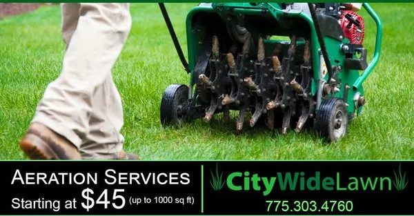 City Wide Lawn Care Logo