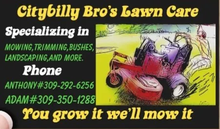 Expert landscape design for beautiful yards across East Moline, IL - Citybilly Bro's Lawn Care