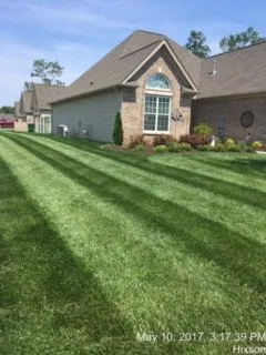 Professional outdoor landscaping experts serving Chattanooga, TN - CityGreen Services