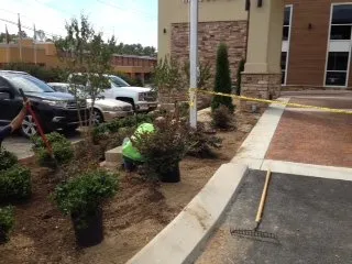 Reliable landscape design for beautiful yards across Chattanooga, TN - CityGreen Services