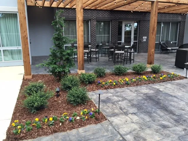 Expert lawn care service in Chattanooga, TN - CityGreen Services