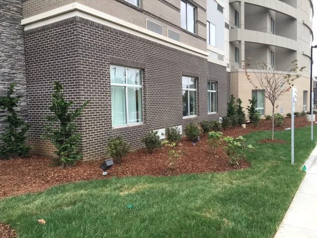 Local landscaping services in Chattanooga, TN - CityGreen Services