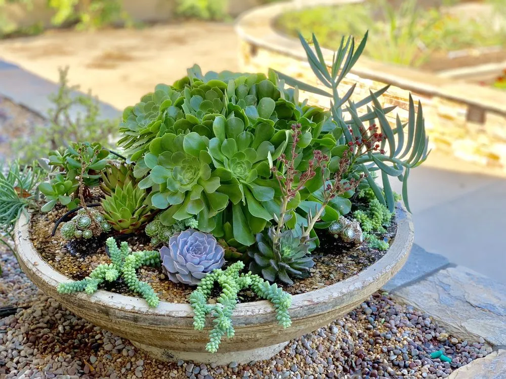 Affordable landscape design experts serving Tustin, CA - Cityscape