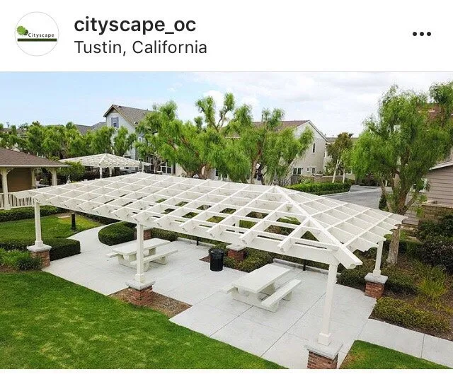 Top-rated yard cleanup service for year-round maintenance across Tustin, CA - Cityscape