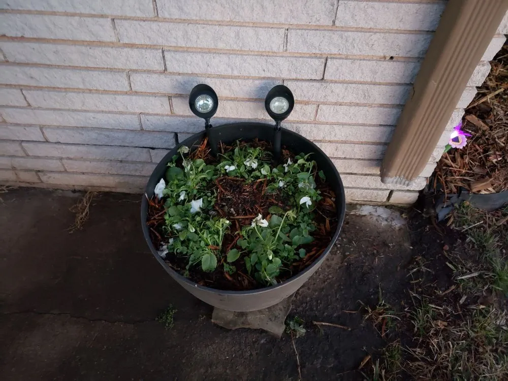 Reliable landscape installation experts serving Oklahoma City, OK - CityScapes Landscape Services