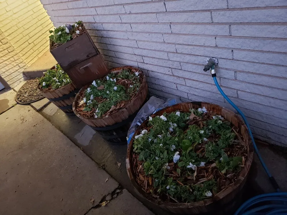 Expert landscaping services for year-round maintenance across Oklahoma City, OK - CityScapes Landscape Services