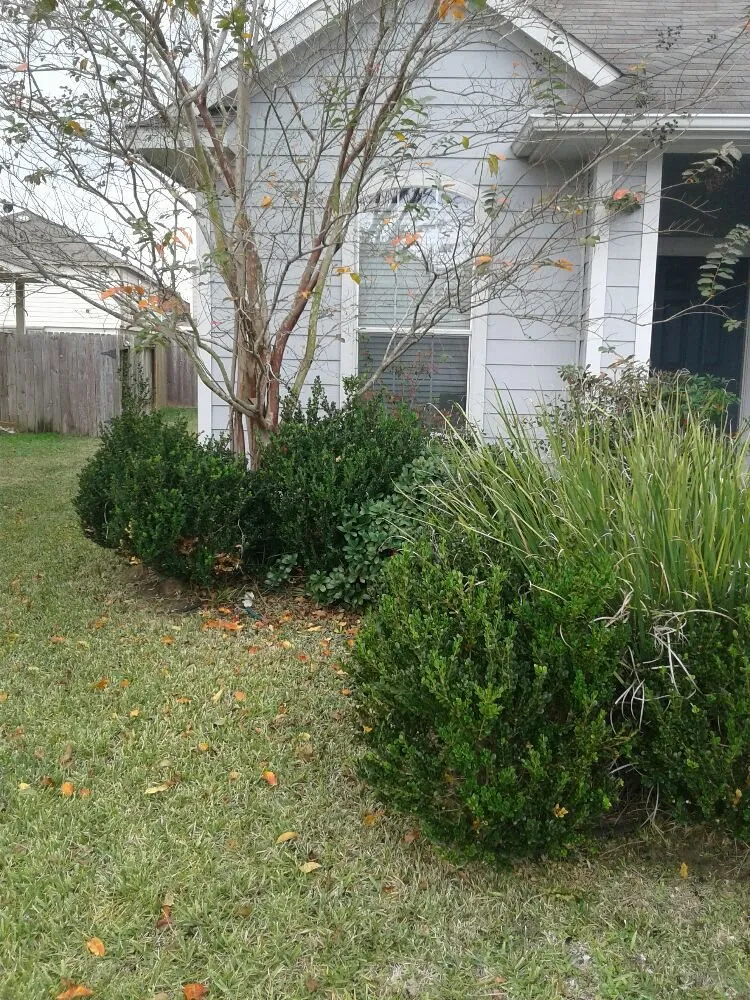 Professional garden landscaping with custom design in Houston, TX by CityScapes Lawn Service