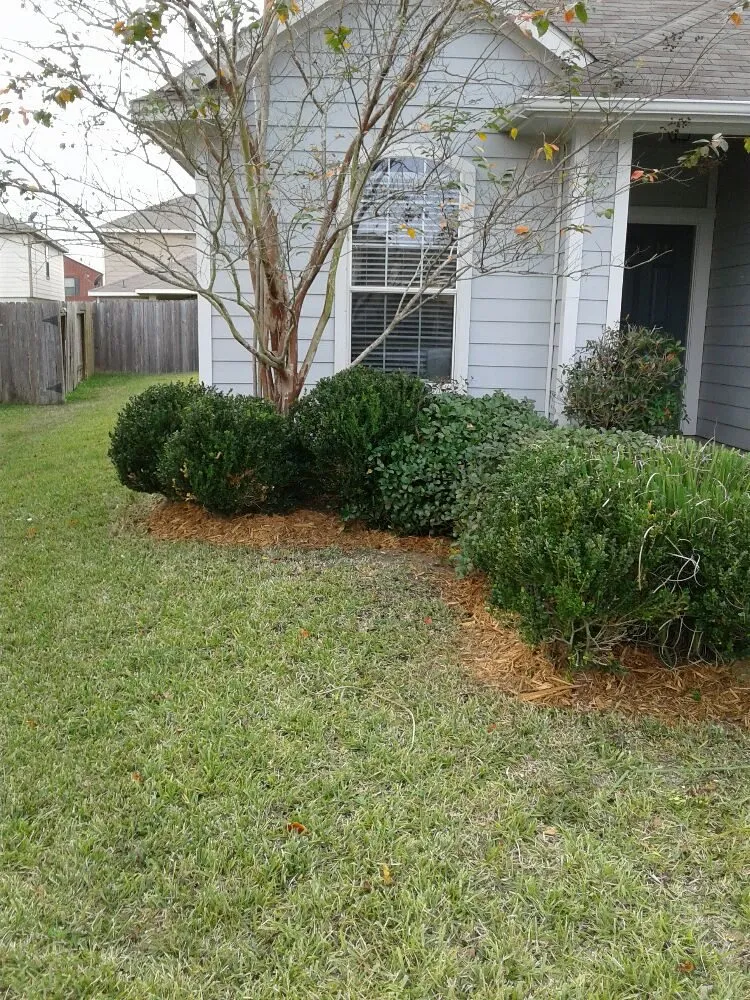 Top-rated lawn care service in Houston, TX by CityScapes Lawn Service