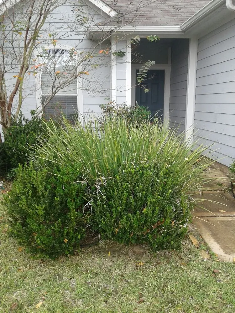 Professional outdoor landscaping in Houston, TX - CityScapes Lawn Service