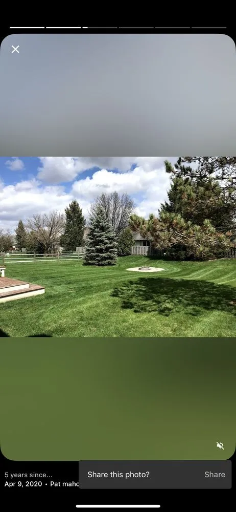 Trusted yard maintenance for year-round maintenance in Rossford, OH by Citywide Lawn Care & Snow Removal