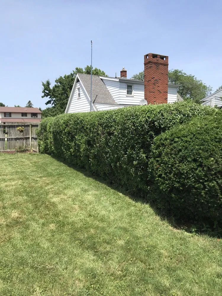 Expert landscape design experts serving Rossford, OH - Citywide Lawn Care & Snow Removal