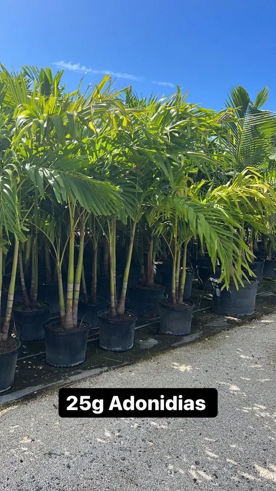 Professional yard maintenance for beautiful yards across Oakland Park, FL - Citywide Lawn Service