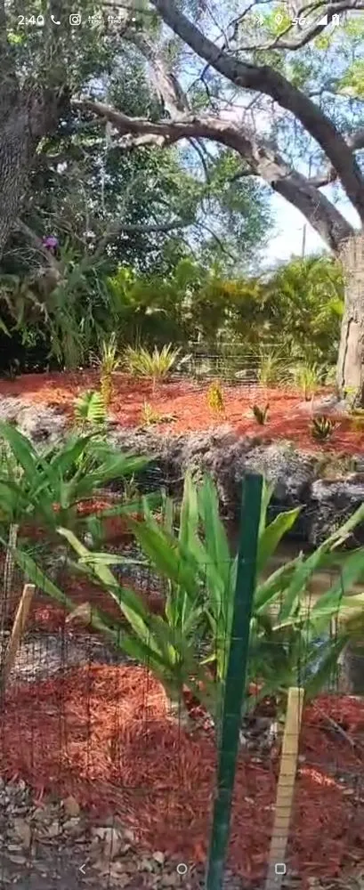 Local outdoor landscaping for beautiful yards in Oakland Park, FL by Citywide Lawn Service