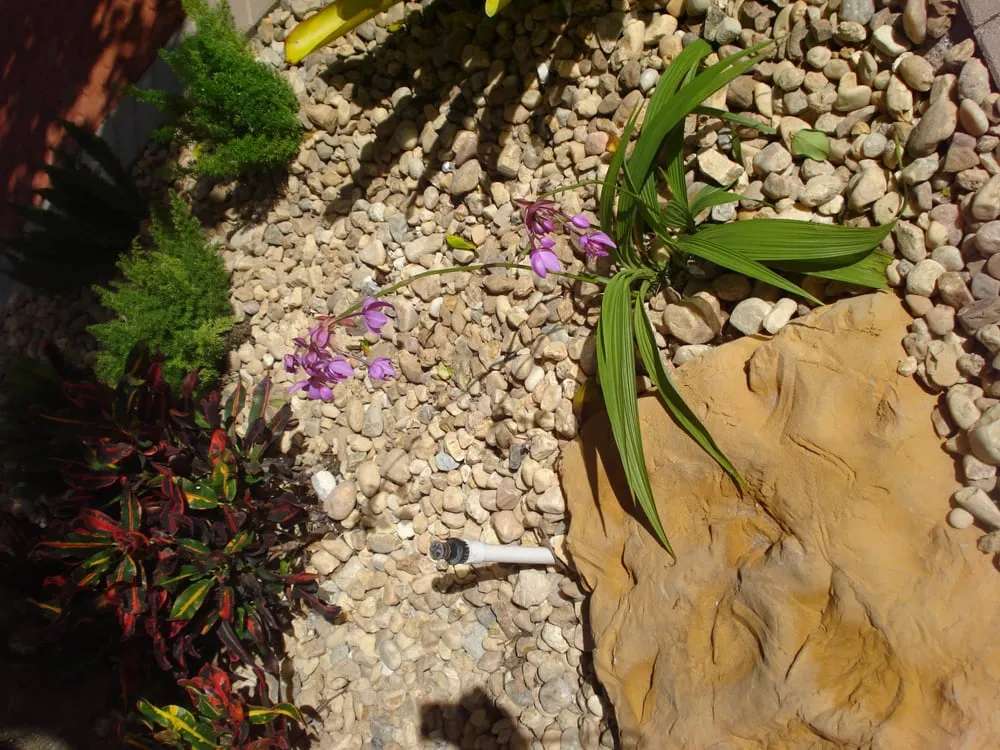 Affordable outdoor landscaping near you across Oakland Park, FL - Citywide Lawn Service