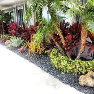 Affordable landscaping services experts serving Oakland Park, FL - Citywide Lawn Service