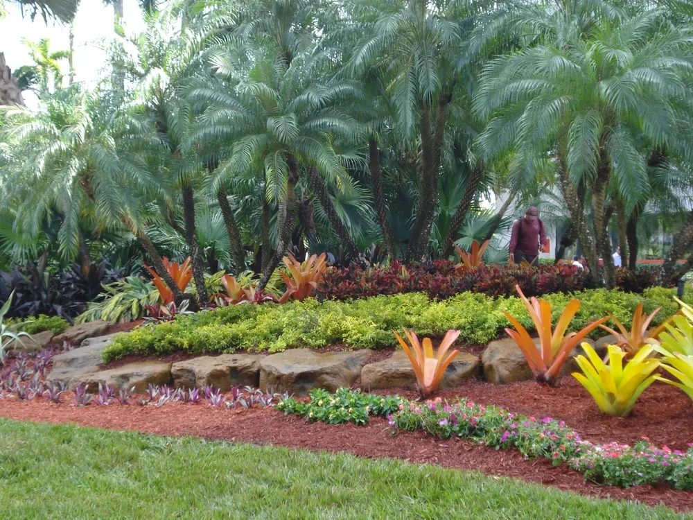 Custom residential landscaping for residential properties across Oakland Park, FL - Citywide Lawn Service