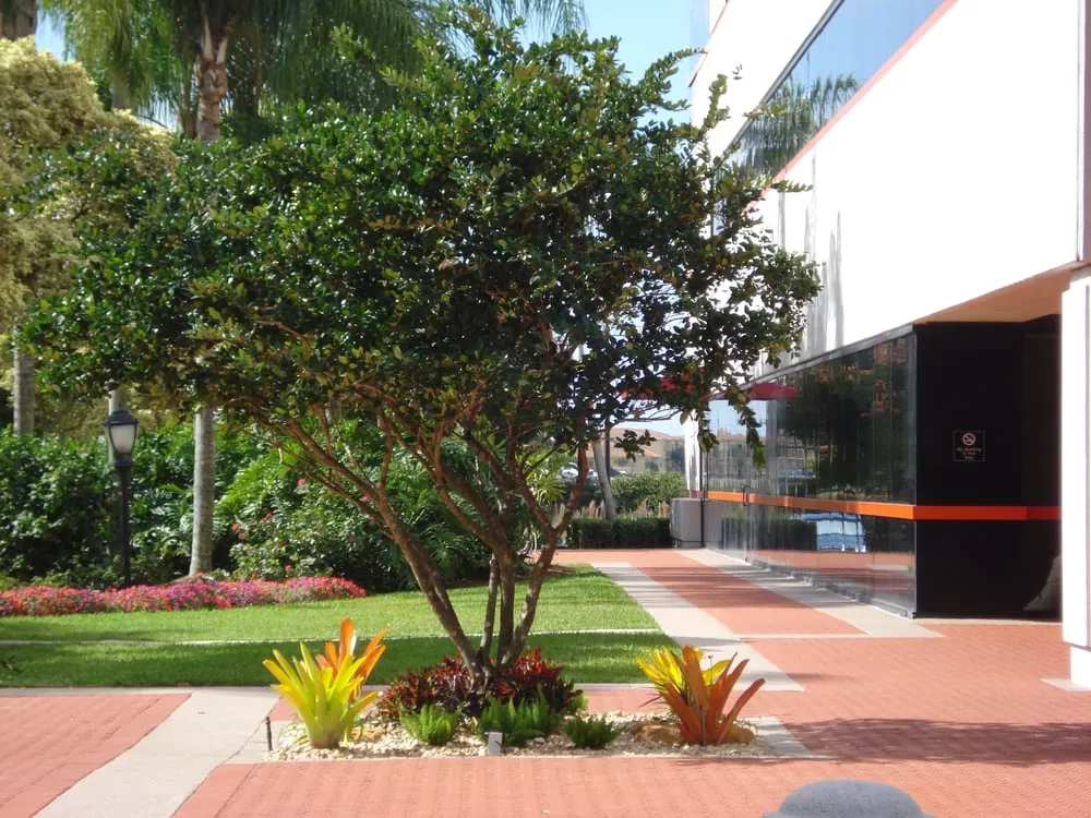 Expert lawn mowing service in Oakland Park, FL by Citywide Lawn Service